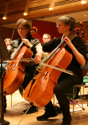 Wolsey orchestra